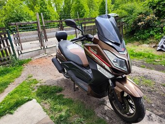Kentoya Maximus 125 - 2