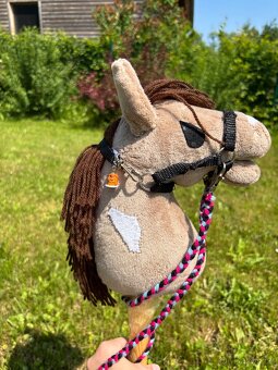 Hobby horse - 2