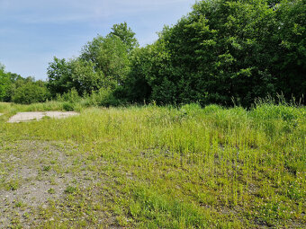 Nabízíme k prodeji pozemek, 730 m2, Seč - 2