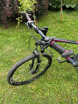 Kolo MRX Elite 29’’ - 2