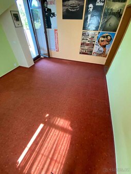 Koberec 4,8 x 3,7m - 2