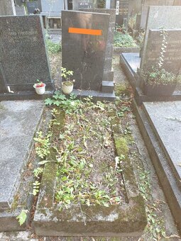 Hrobové místo Olšany - 2