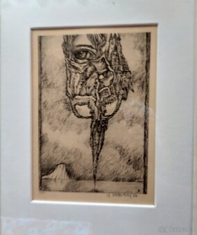 Nabízím grafický list v rámu" Oko v růži s hradem" - 2