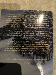 Kniha The well of shades - 2