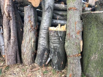 Prodej ovocného dřeva - 2