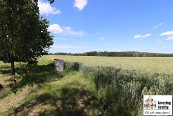 Prodej pozemku o celkové výměře 6.704 m2, v obci Zvíkovské P - 2