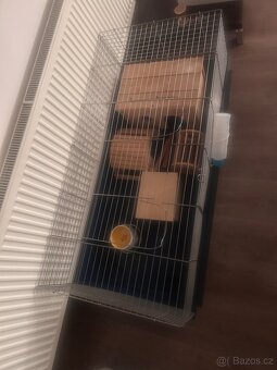 klec pro morcata - 2