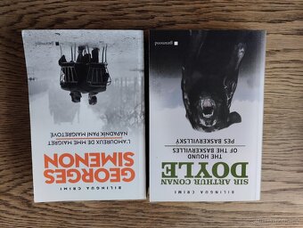 Cizojazyčné knihy - 2