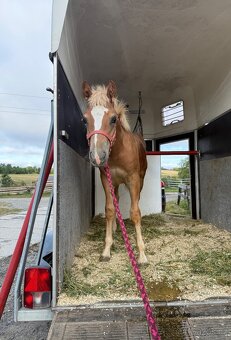 Pronájem přepravníku - 2