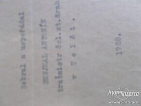 Davidova houpačka - 2