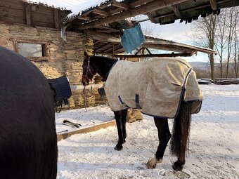 Bucas power 150g 145cm - 2