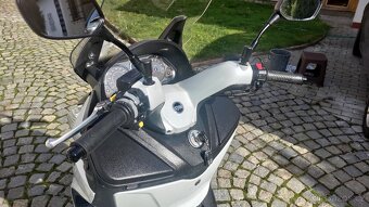 Maxsim 600 - 2