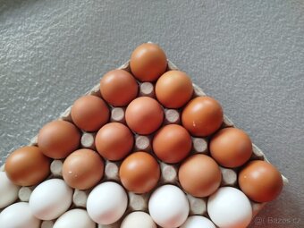 Domací vajíčka - 2