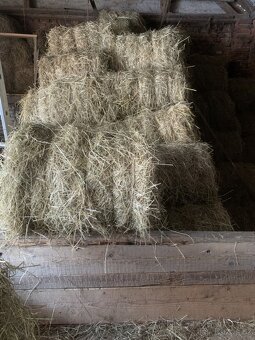 Prodám seno, malé kulaté balíky - 2