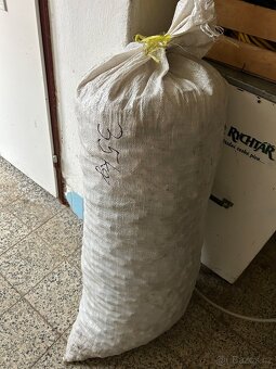 Vlašské ořechy - 2