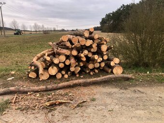 Palivové dřevo - 2