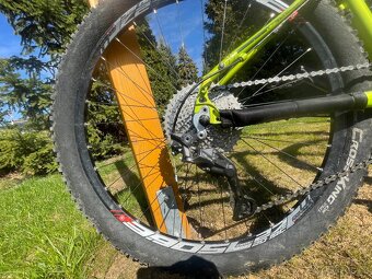 Pells Razzer junior - 2