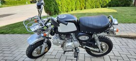 skyteam 125 Gorilla - 2