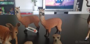 Schleich Safari antilopa kudu sup gazela alpaka surikata - 2