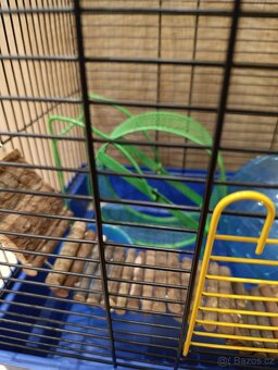 Klec pro hlodavce - 2