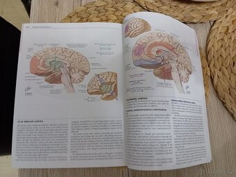 Netter's atlas of neuroscience 4th edition - Felten, neuroa - 2