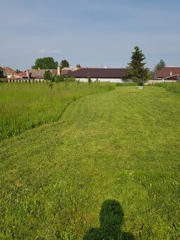 TRÁVA , SENO, ZDARMA - 2