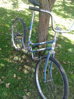 DIVCI VELAMOS KOLO - 2