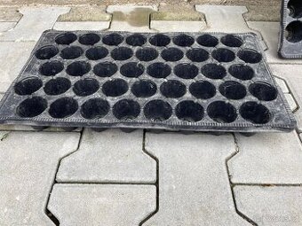 Sadbovače JP 3050/42 - 2