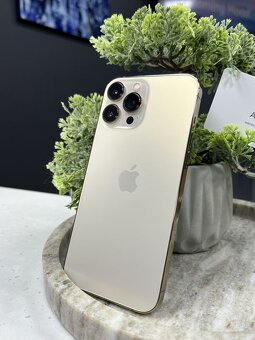 Apple iPhone 13 Pro Max - 2