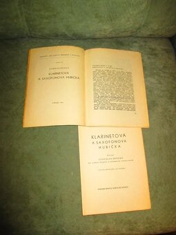 Saxofonová a klarinetová hubička - 2