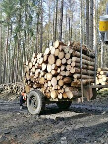Kára na dřevo ( vozík na dřevo) 2ks VELKÁ, MALÁ - 2
