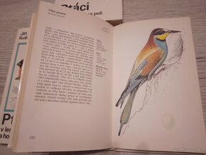 Ptáci, luk bažin a vod, v zahradě a na poli... - 2