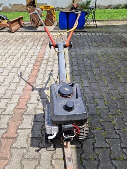 TERA - VARI - 2