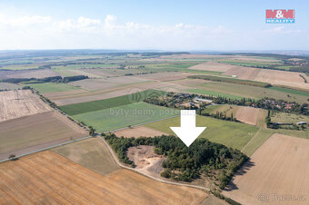 Prodej lesa, 9132 m², Panoší Újezd - 2
