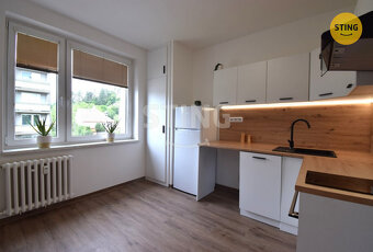 Pronájem bytu 1+1 po kompletní rekonstrukci s balkon, 132970 - 2