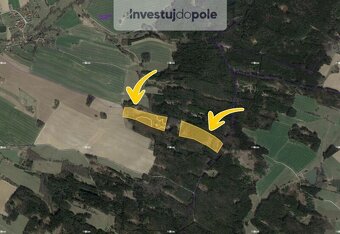 Prodej lesu v k.ú. Světce - 2