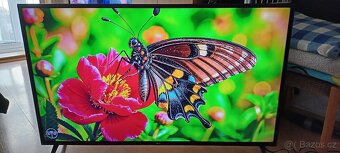 TV LG Led Smart 4K 140 cm 55 palcu - 2