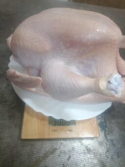 Kuře v kuchyňské přípravě - 2