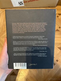 Dívka v puntíkových šatech - 2