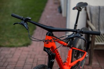 XC Cannondale Scalpel 2019 - 2