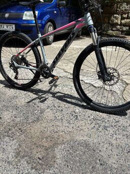 STEVENS TRAIL DEVIL - 2