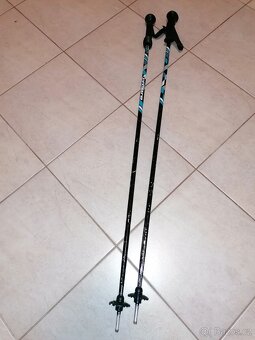 Lyžařské hole - 2