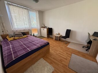 Pronájem 1+1/flat to rent Brno-Absolonova - 2