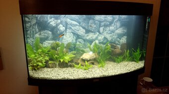Prodám akvarium Juwel 180 litrů - 2