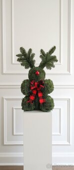 Vánoční dekorace s živého Nobilisu - 2