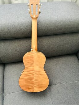 BAMBOO U-23 Fairy - 2