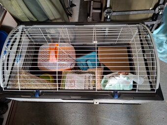 Prodám klec včetně  příslušenství. - 2