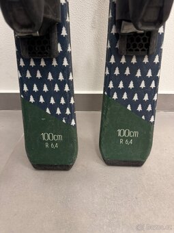 Dětské lyže Aspen 100 cm - 2