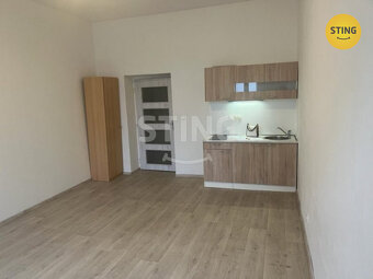 Pronájem apartmá 1+kk., 132197 - 2