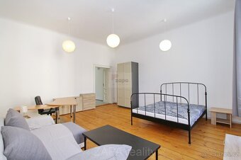 Pronájem bytu 1+1 45 m2 Praha 3 Žižkov kompletně zařízeno - 2